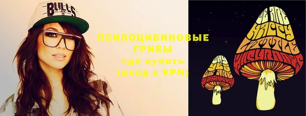 spice Заводоуковск