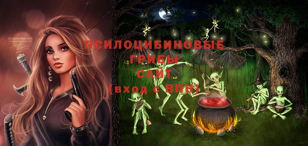 spice Заводоуковск