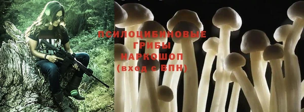 бошки Заволжск